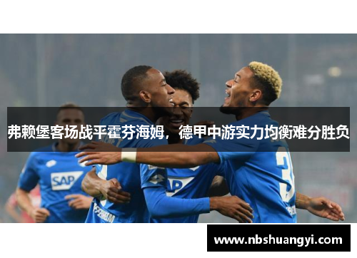 弗赖堡客场战平霍芬海姆，德甲中游实力均衡难分胜负
